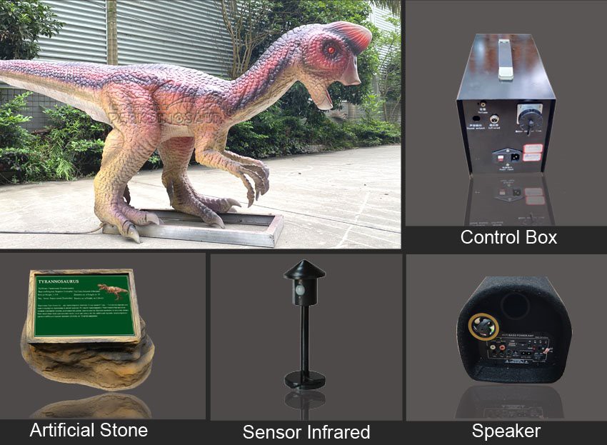 Accurate Animatronic Life Size Dinosaur Model-F